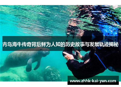 青岛海牛传奇背后鲜为人知的历史故事与发展轨迹揭秘